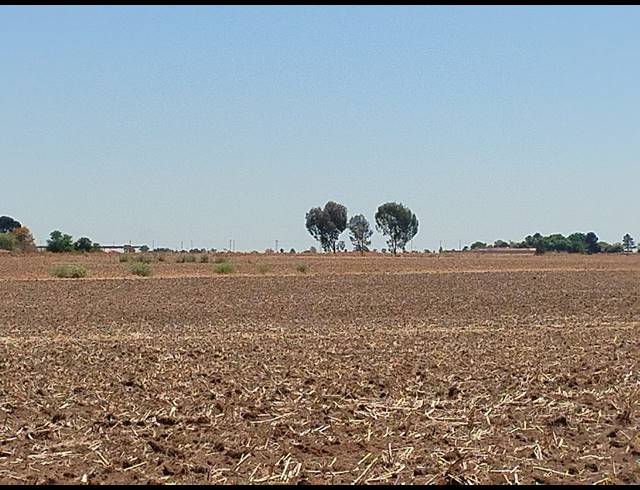 20.20HA VACANT LAND FOR SALE IN CHRISSIEFONTEIN